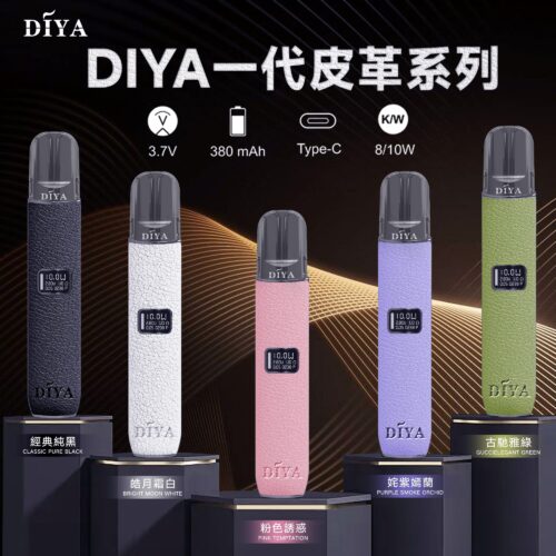DIYA 皮革主機